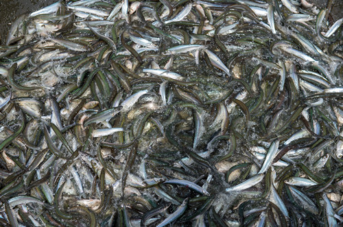 微信图片_20200224094610_副本 微信图片_20200224094610_副本